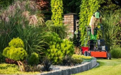 Small Garden, Big Impact: Landscaping Ideas for Limited Spaces                                                             